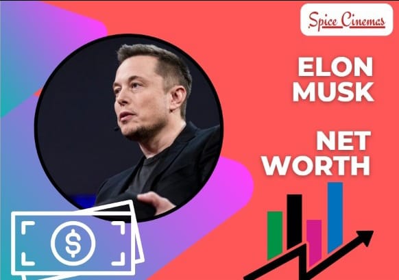 elon musk net worth