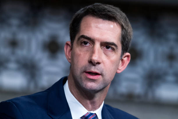 Tom Cotton biography