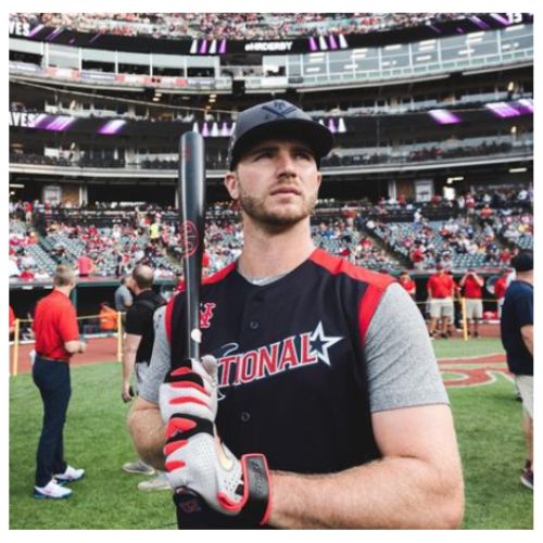 Pete Alonso Professional career